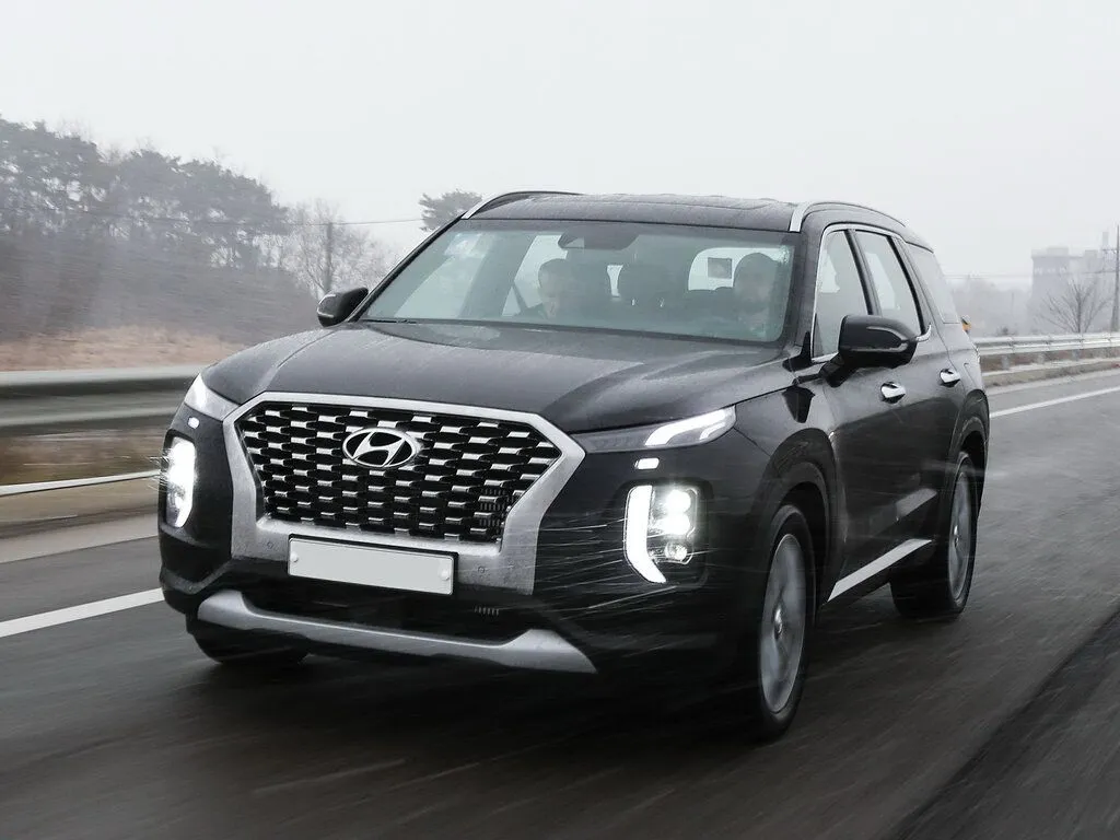 Palisade New photo 1