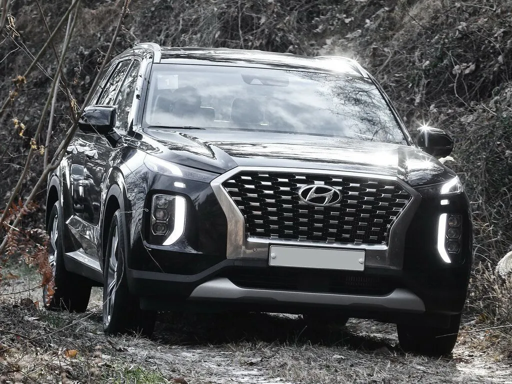 Palisade New photo 2