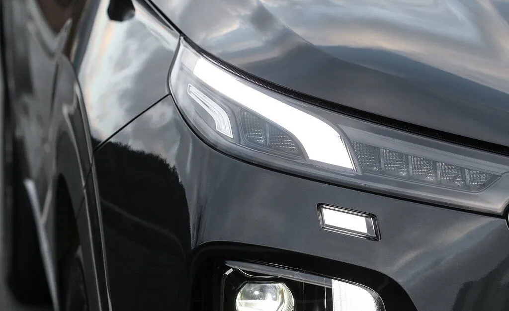 Palisade New photo 4