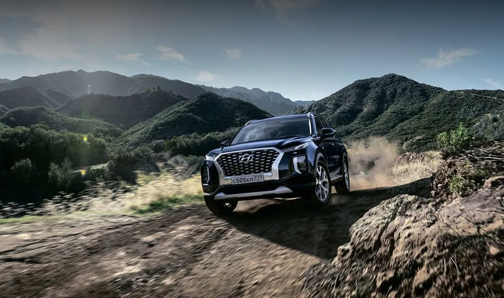 Palisade New photo 5